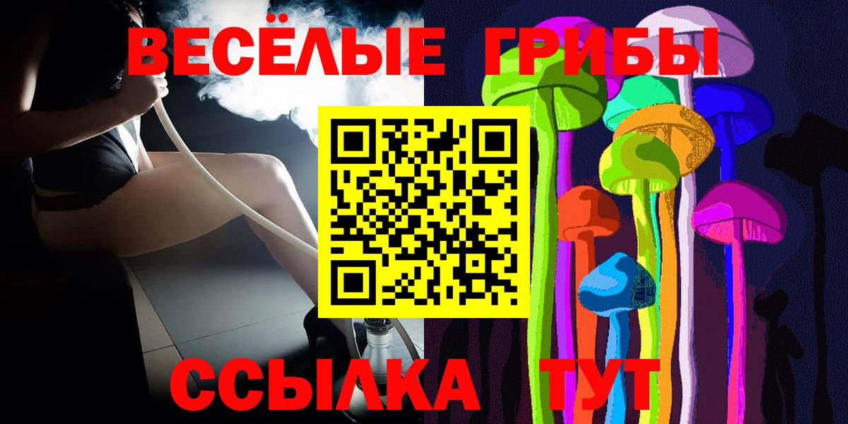 Псилоцибиновые грибы Psilocybe Симферополь