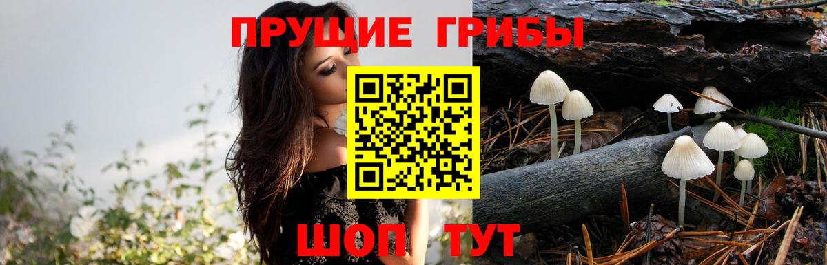 Псилоцибиновые грибы GOLDEN TEACHER  Вход с VPN  Симферополь 